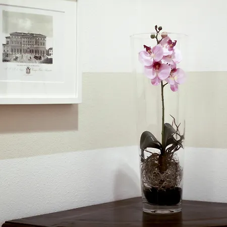 Casa Isolani Luxury Rooms Piazza Maggiore 2* Bologna